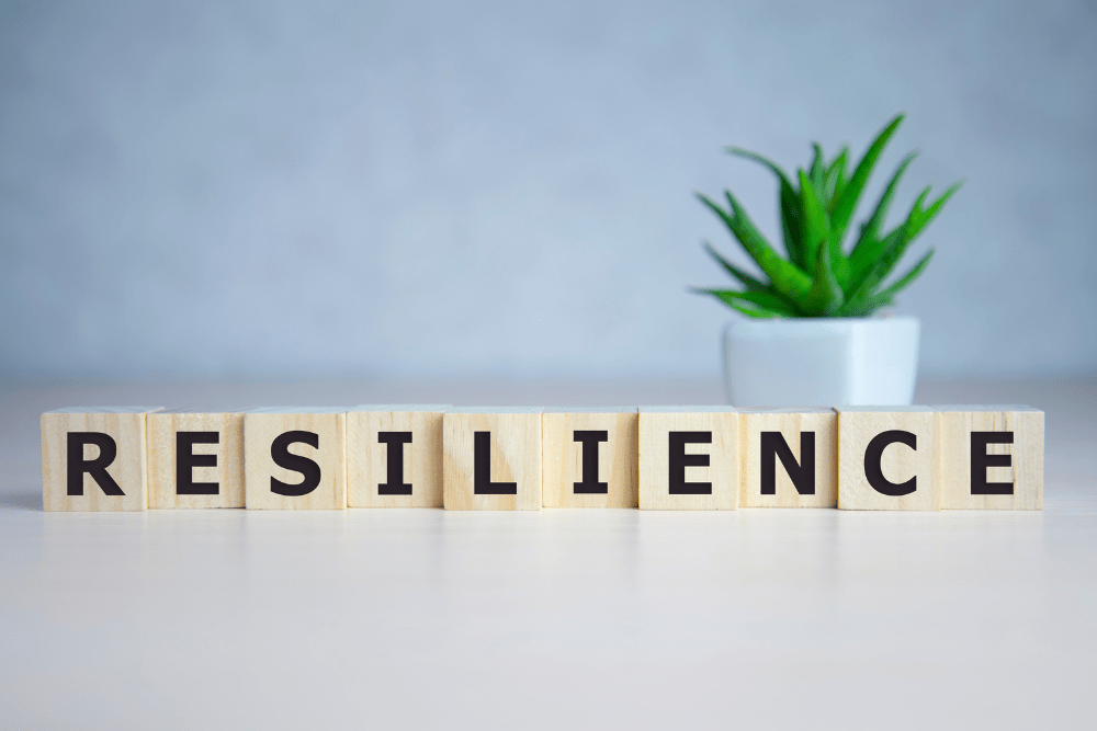 paradosso della resilienza
